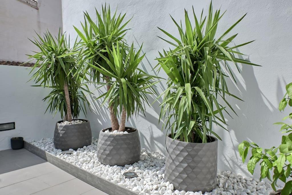 Sunny Cozy Penthouse With A Terrace At Plaza Del Carmen Apartment Valencia Luaran gambar
